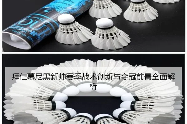 拜仁慕尼黑新帅赛季战术创新与夺冠前景全面解析